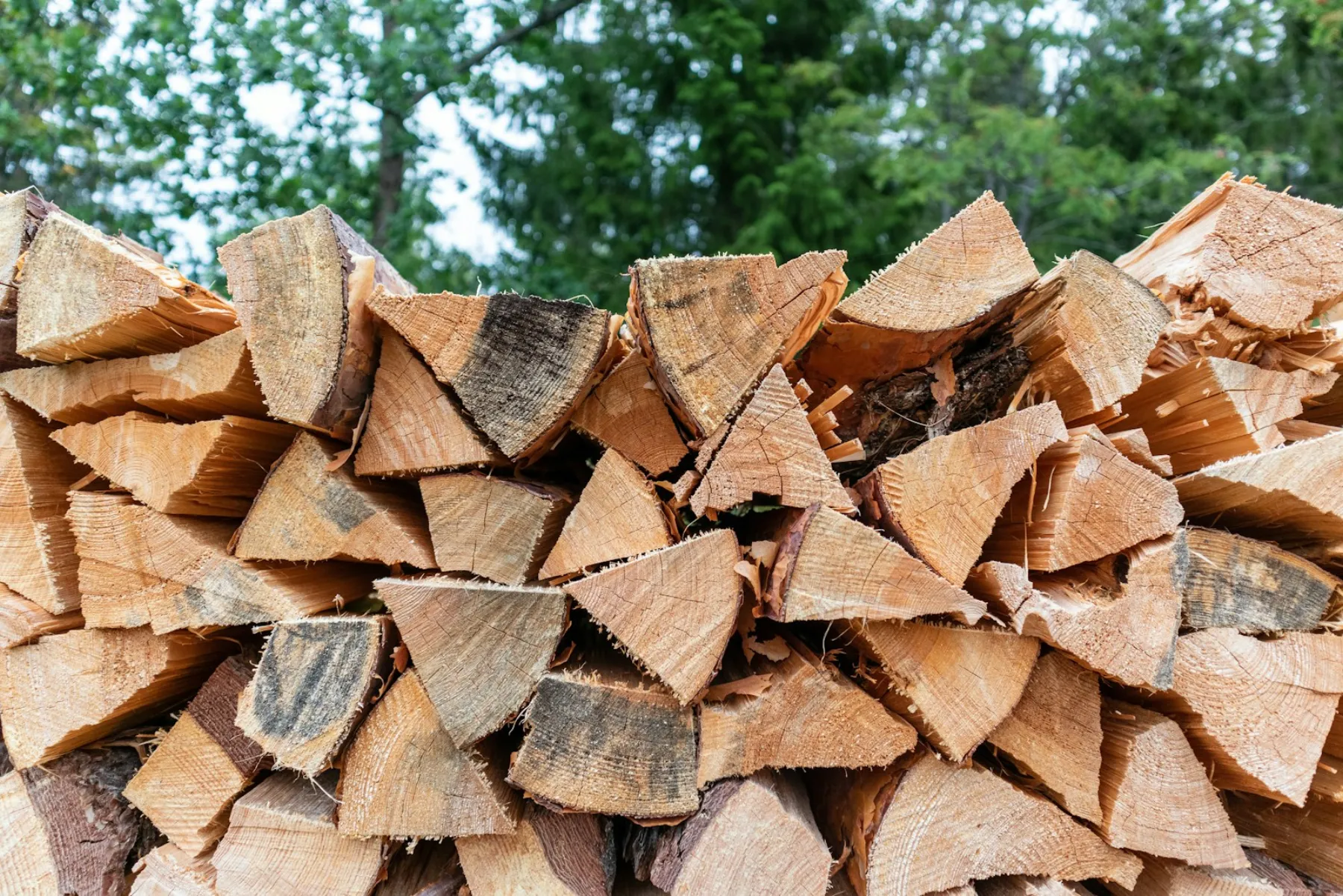 Bûches de bois empilées